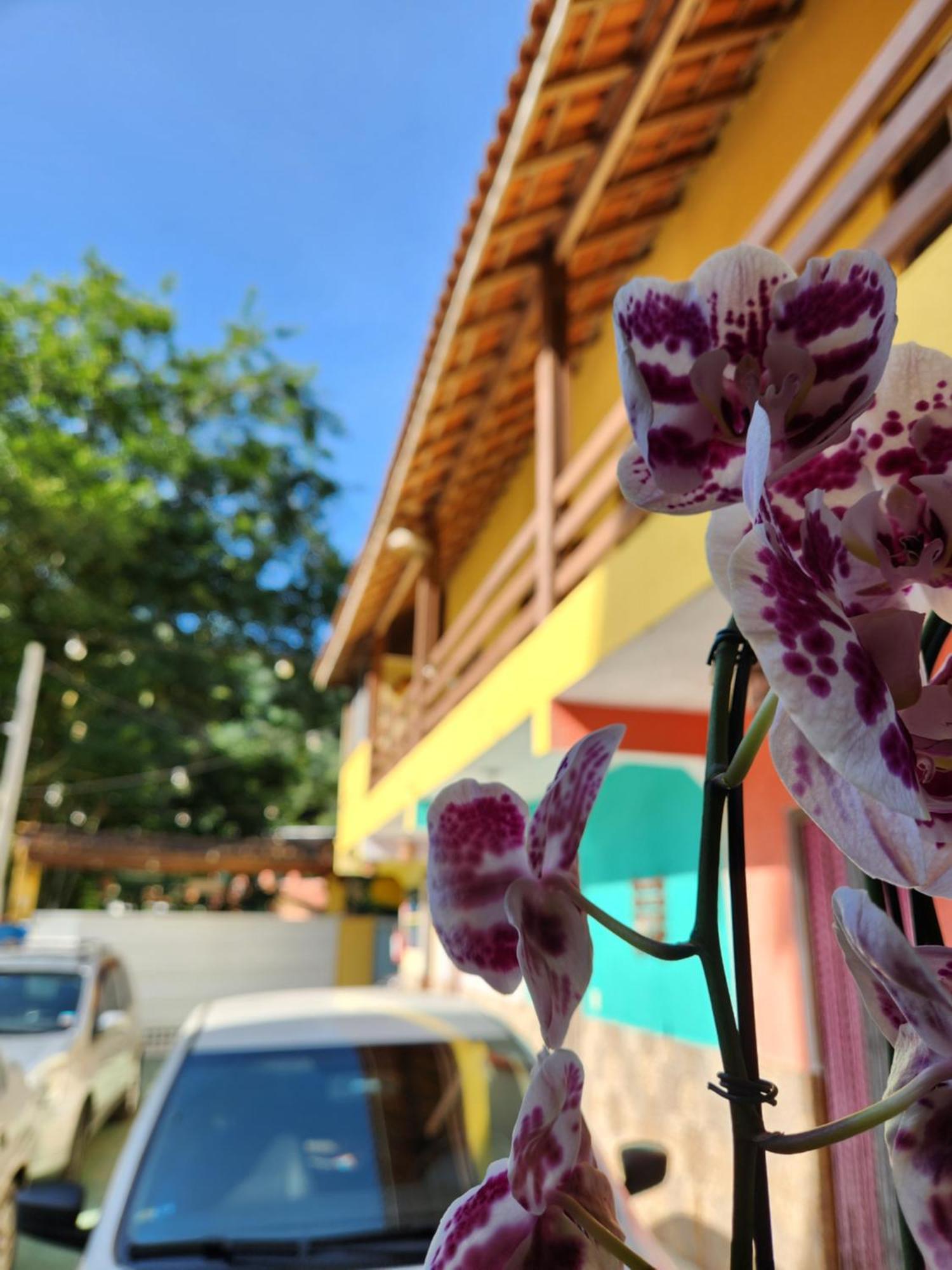 Pousada Morena Raiz Ubatuba Εξωτερικό φωτογραφία